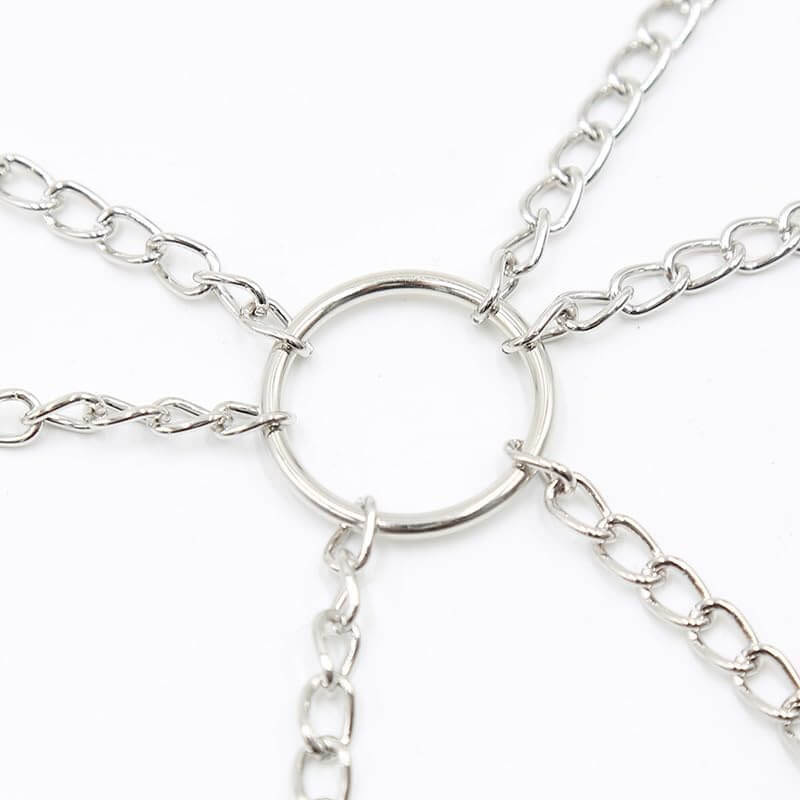 Sexy Nipple & Pussy Clamps with Chain