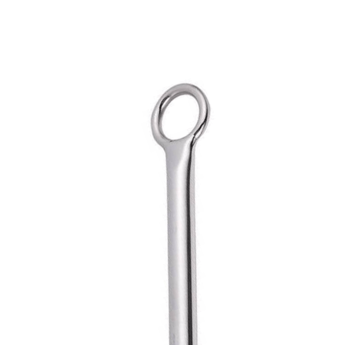 Steel Anal Hook | Club69