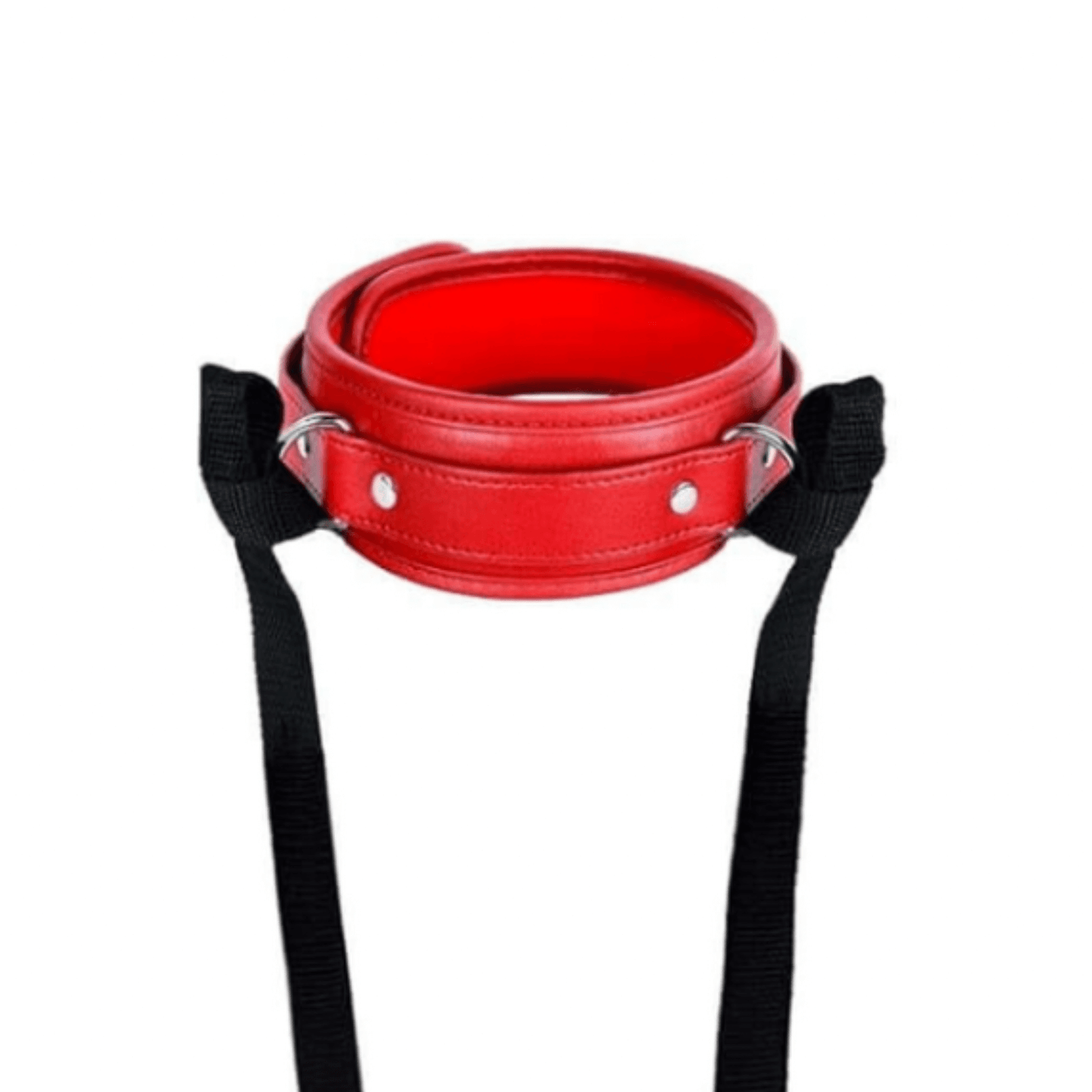 Leather Collar w/ Anal Probe | Club69