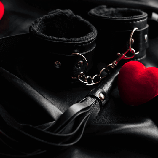 BDSM 101: Your Wild Side Just Sent You a DM