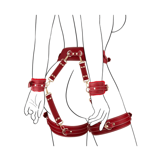 Red adjustable bondage set showcasing padded restraints and gold accents for an alluring seductive experience.