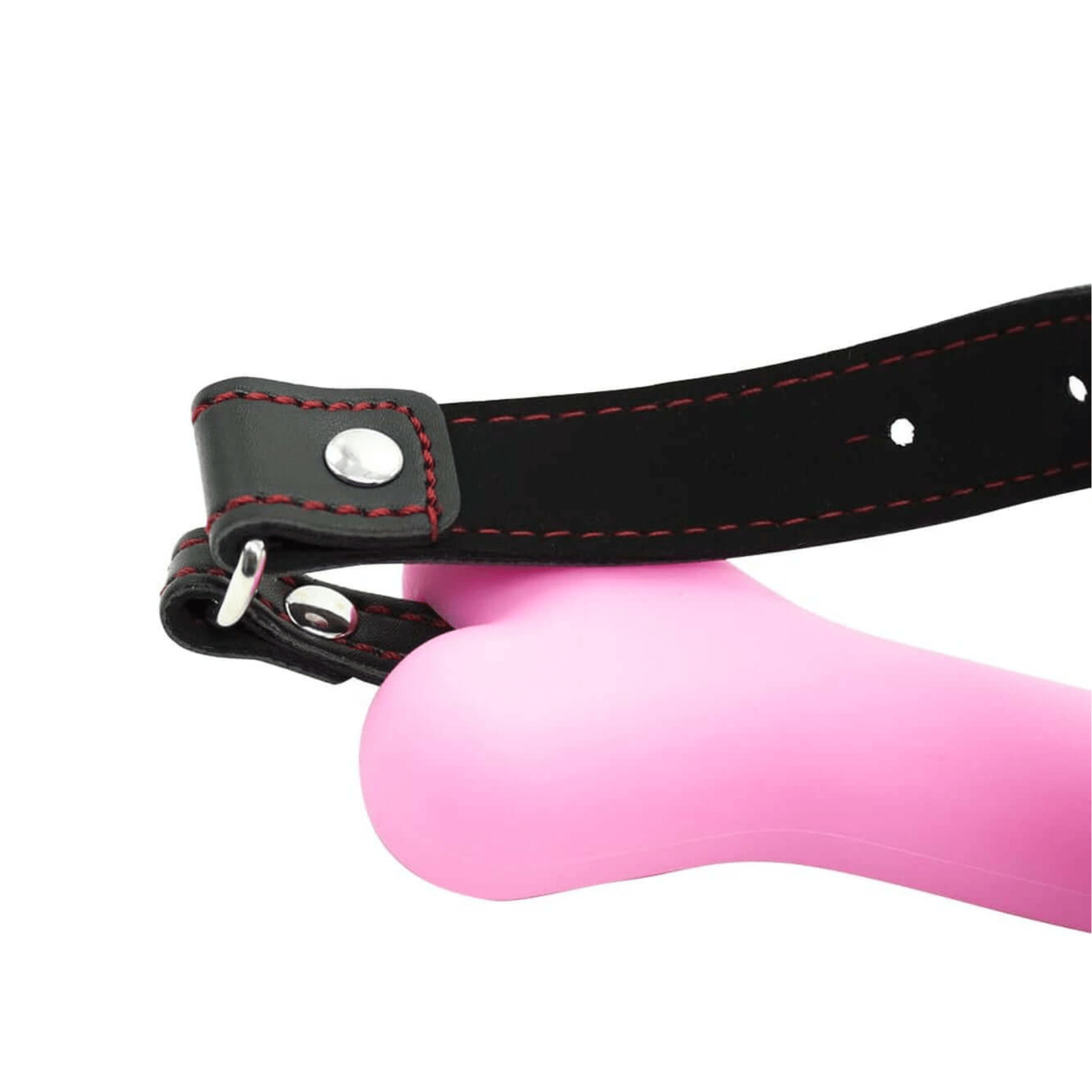 Dog Bone Gag | Club69